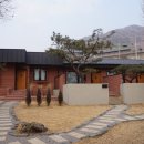 포레스트152