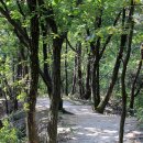 수락산길 이미지