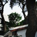 향로경로당 이미지