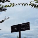 경천 | 아기와 함께한 내돈내산 상주 경천서림(敬天書林) 방문 후기