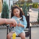 비토애 | 여수 글램핑 돌산 비토애 오션뷰 신상 캠핑장 후기