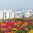 중앙공원 3지구 이미지