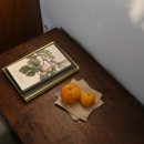 파도길 65 이미지