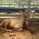 해미농장 이미지