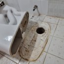 원만화장실 이미지