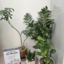 (주)허브앤클러스터 | 피부가 편안해지는 시간｜지축 느보뷰티 허브관리 후기