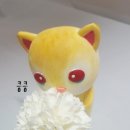 시바냥
