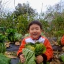 YMCA어린이집 이미지