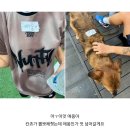 민지네하우스 | 기다렸다 8월 일상