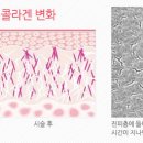 로쉬여성의원 이미지