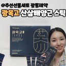 광동제약 광옥고 산삼배양근 스틱 추선선물세트 효능