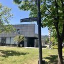 (주)한국파비스제약 | 국립현대미술관 서울 [데미안허스트 전시] 예매하는 곳과 도슨트 후기