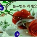 오늘하루 이미지