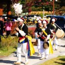 노거수 은행나무 축제의 속삭임 이미지
