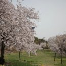 봄정신건강의학과의원 이미지