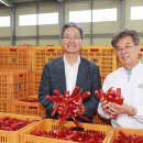 1082 국제뉴스
