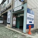 486 Dogcamp | 🐶동반 기록|부산 용호동 애견 유치원•호텔•놀이터 486독캠프 남구점 후기