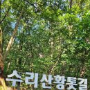 초막골 생태공원 이미지