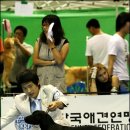 HIGH-CLASS Daum카페