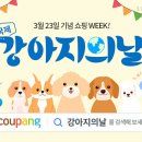 강아지용품할인매장 지디넷코리아