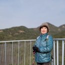 예술공원 둘레길 이미지