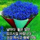 경금일(敬今日) 이미지