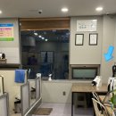 셀프워시독 네이버블로그