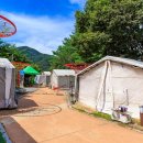 문경새재반려동물힐링센터(젠틀펫파라다이스) 이미지