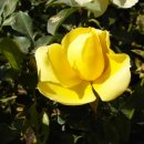 산과들과바다와함께 이미지