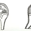 희망별자리 | 바빌로니아 별자리와 천문전승 - 별자리 상세 39. 시체자리
