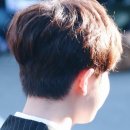 정곡초등학교 이미지