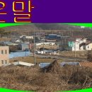 삼장주유소 Daum카페