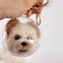 강아지 고양이 양모 펠트 키링 만들러 꿈꾸는 니들 공방 다녀왔어요