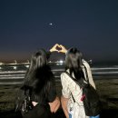 [EF San Diego] 출국부터 친구 사귀기까지