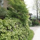 어전농장 이미지