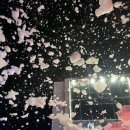 베스트루이스해밀턴호텔 오션테라스 이미지