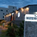 애월연대 | 제주 외도 횟집 고딱세트로 제대로 즐긴 애월밤바다