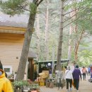 숲이좋아민박 이미지