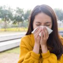 알레르기 이미지