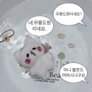 시선끌림 | 송도 에스테틱 '더끌림스킨' 하이푸 리프팅부터 피부관리까지 예비신부 관리받은 솔직후기