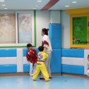 용인대 수 태권도장 이미지