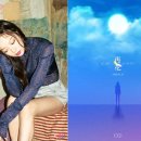 리플라워 이미지