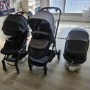 세탁하는사람들 | 맡기길 잘했다😭 유모차·카시트 세척 베베앤클린 시흥배곧점 리얼 후기 + 전후 비교