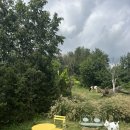 예지목장 이미지