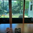 제주지인 게스트하우스 | 제주 서귀포 소규모 게하 불멍있는 힐링 게스트하우스, 제주지인게스트하우스 후기