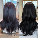 지성헤어숍 | 인천 송도미용실 헤어샵 차홍룸 송도점 톤다운염색 후기