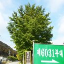 성동민박 이미지