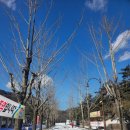 문경새재관리사무소 내 화장실 | 겨울 문경 가볼만한곳 눈 쌓인 문경새재 도립공원 주흘관 오픈세트장 과거길 산책