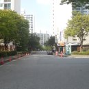 분당-209 이미지