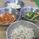수제비손칼국수